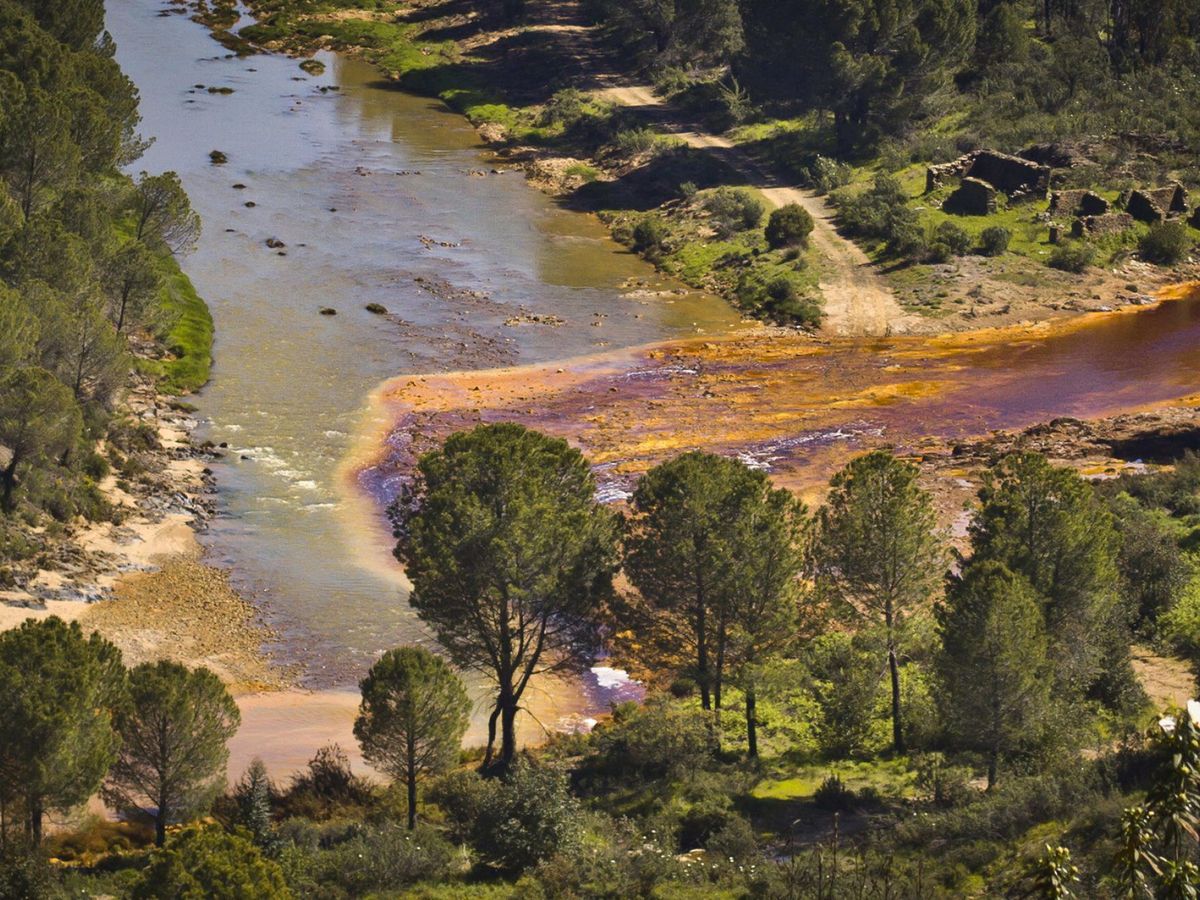 Foto: Vista del río Odiel. (EFE/Julián Pérez)