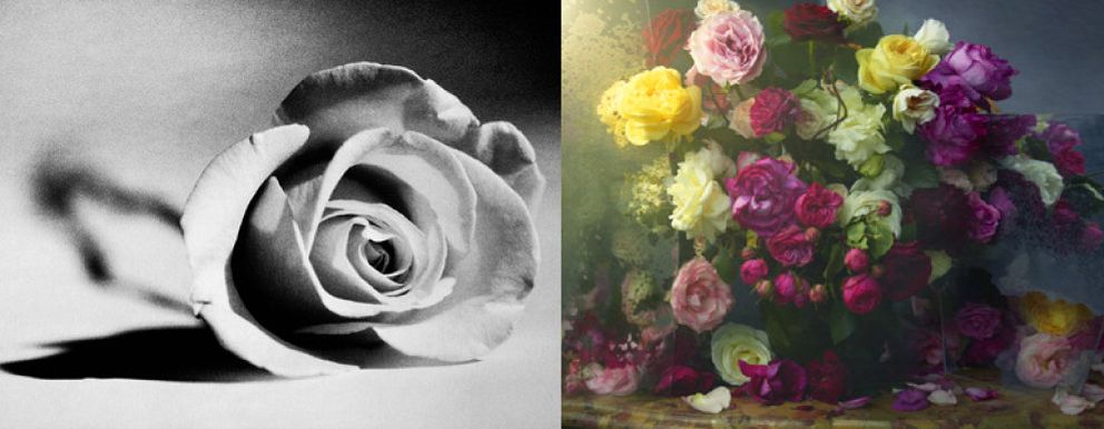 Foto: Veinte artistas para la rosa de Lancome