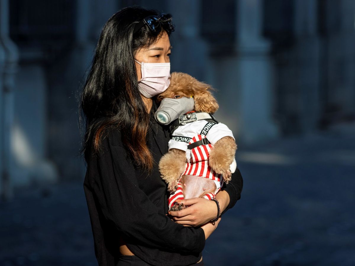 Foto: Una mujer y su perro con mascarilla en China. (EFE)