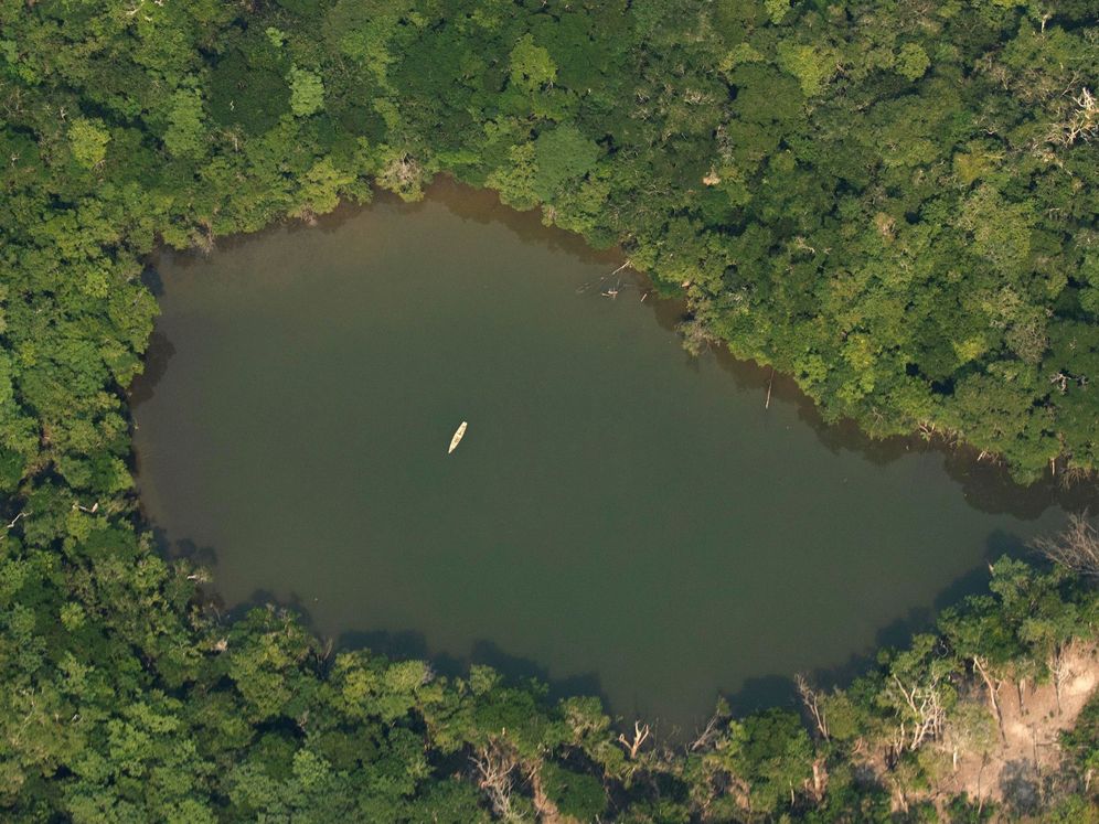 Foto: Vista aérea del Amazonas. Foto: EFE Joédson Alves