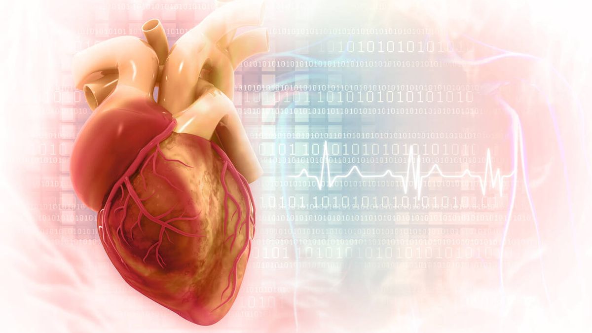El mapa de tu corazón, o cómo detectar lesiones de forma precoz