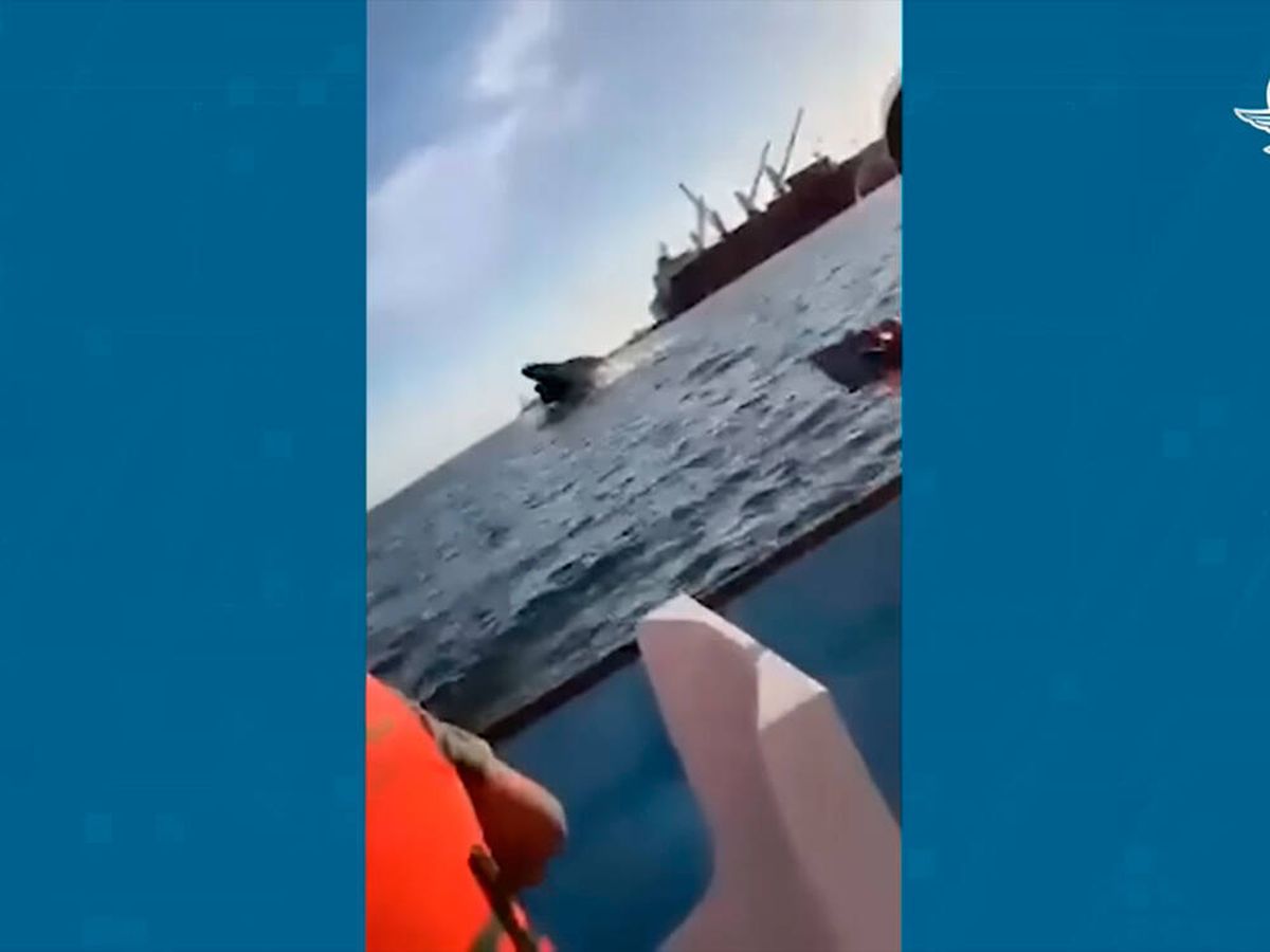 Foto: Una ballena salta sobre un barco en México (Youtube/El Universal)