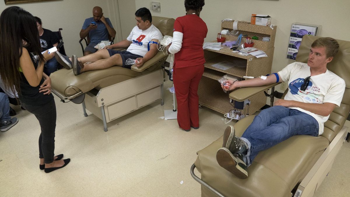 Los gays no pueden donar sangre: la ley les impide ayudar a las víctimas
