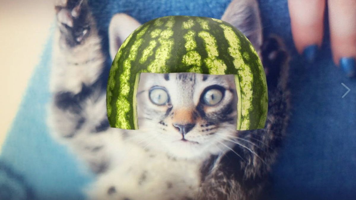Ya puedes usar los nuevos filtros de Snapchat exclusivos para gatos