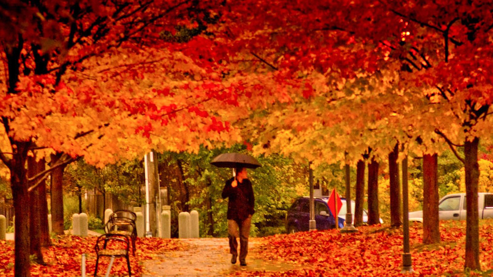 Foto: El otoño viste de tonos cobrizos a los paisajes