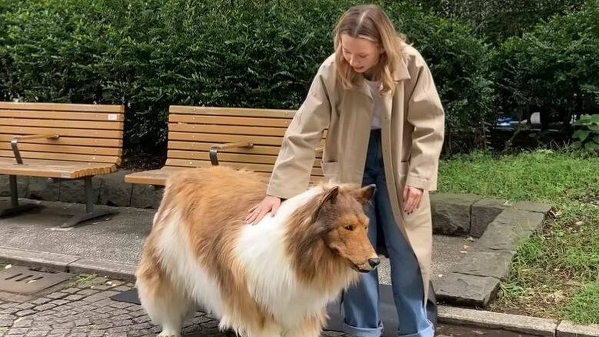 Un hombre se gasta 13.000 euros para convertirse en un perro: este ha sido su primer paseo