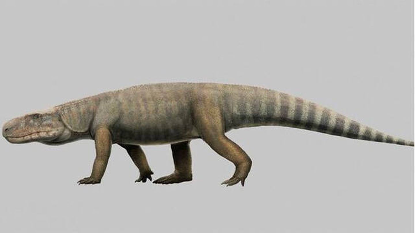 Descubren un ancestro del cocodrilo que habitó Tanzania hace 240 millones de  años