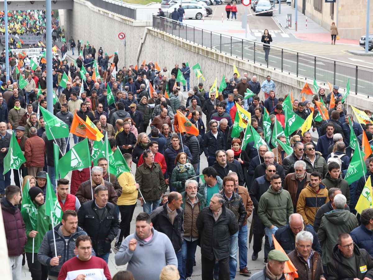 Foto: Protesta de agricultores en Salamanca. (EFE)