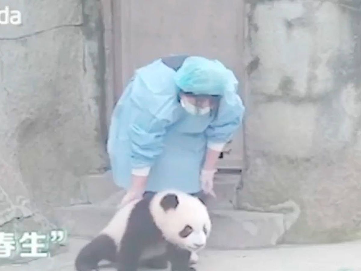 Foto: La cuidadora trata a Chun Sheng con mucho cariño en todo momento (YouTube)