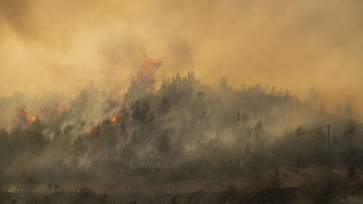 Un visor para predecir el riesgo de incendios forestales con siete días de antelación
