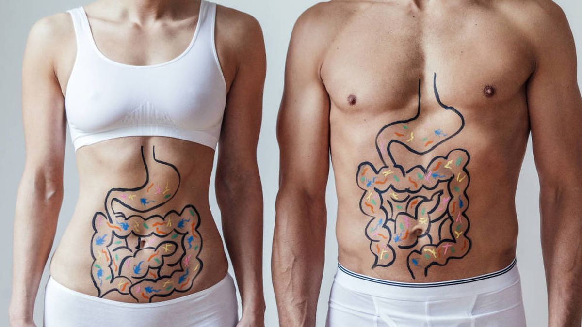 ¿Afecta la microbiota intestinal a la hora de hacer ejercicio físico?