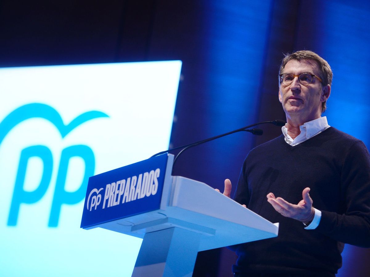 Foto: El candidato a la presidencia del PP, Alberto Núñez Feijóo. (EFE/Nacho Gallego)
