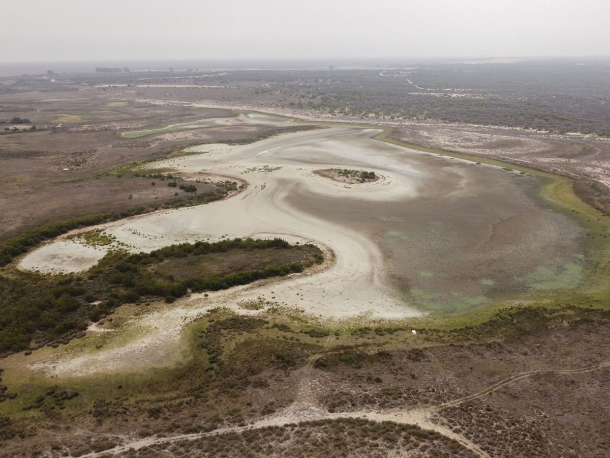 Foto: La laguna de Santa Olalla, la más grande de Doñana, sigue seca. (EFE/CSIC/Carlos Ruiz)