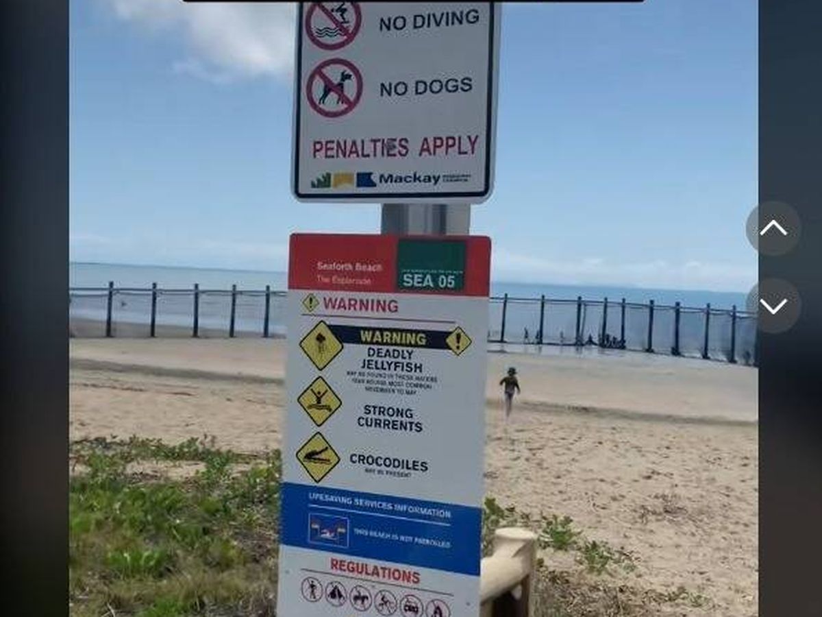 Foto: En algunas playas de Australia se pueden encontrar estos carteles (TikTok/@saraarosas)