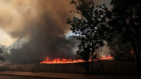 Filomena no acabó en enero: ya se deja sentir en la campaña de incendios
