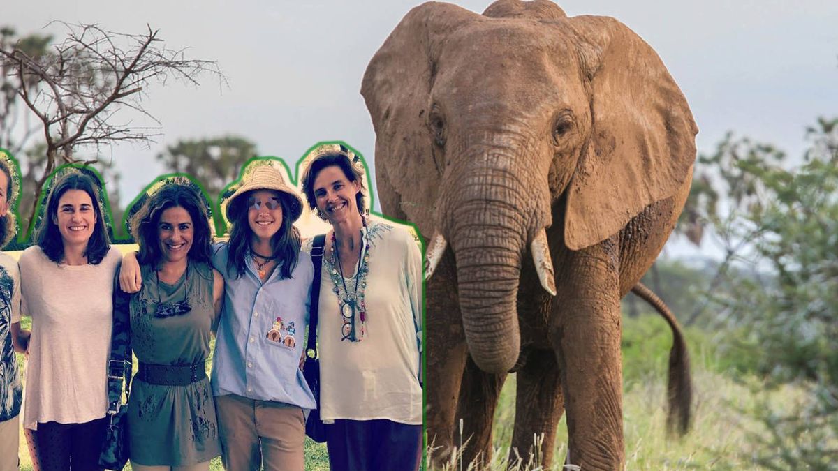 Los vips españoles vuelven a la Botsuana de los elefantes