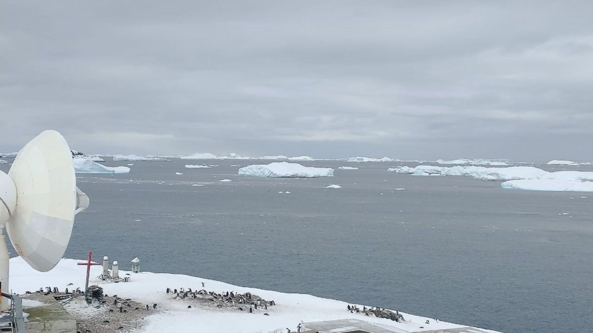 El coronavirus llega al fin del mundo: se registra un brote de 36 casos en la Antártida