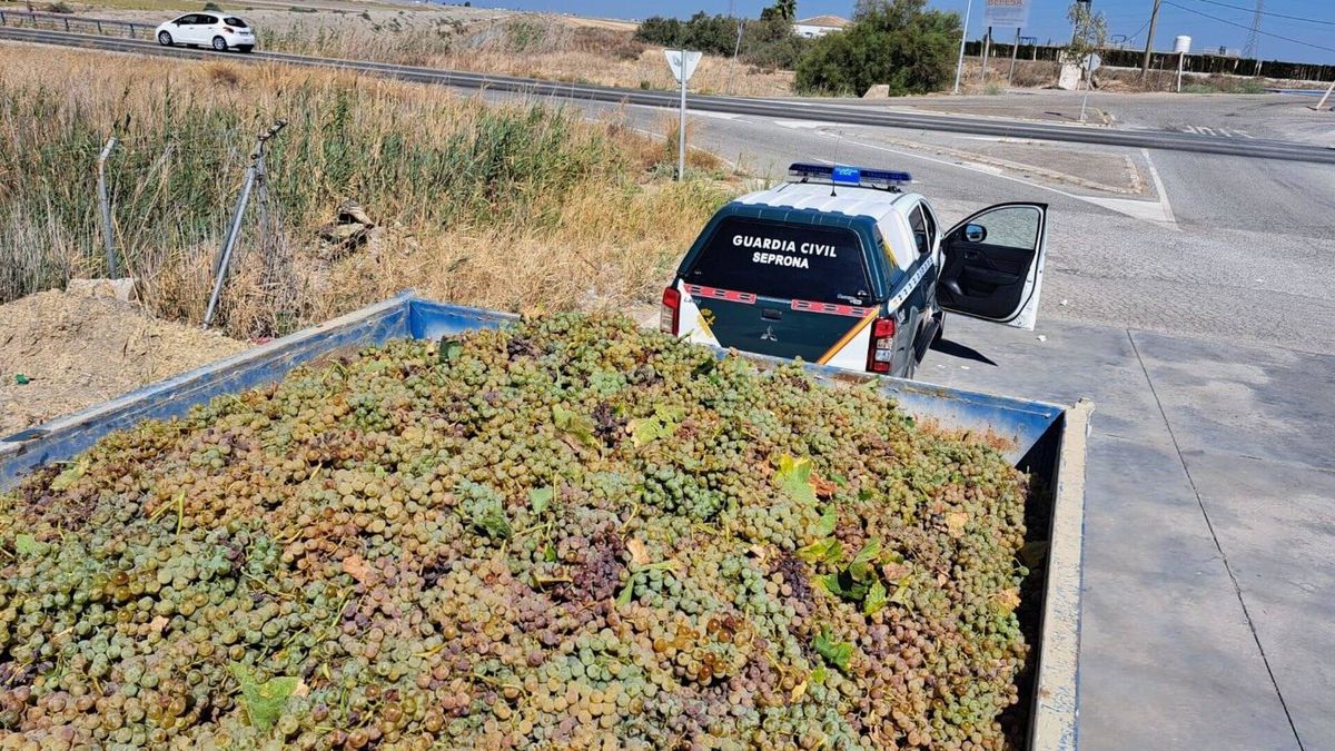 Despliegue de la Guardia Civil por el buen vino: nadie se cuela en el Marco de Jerez