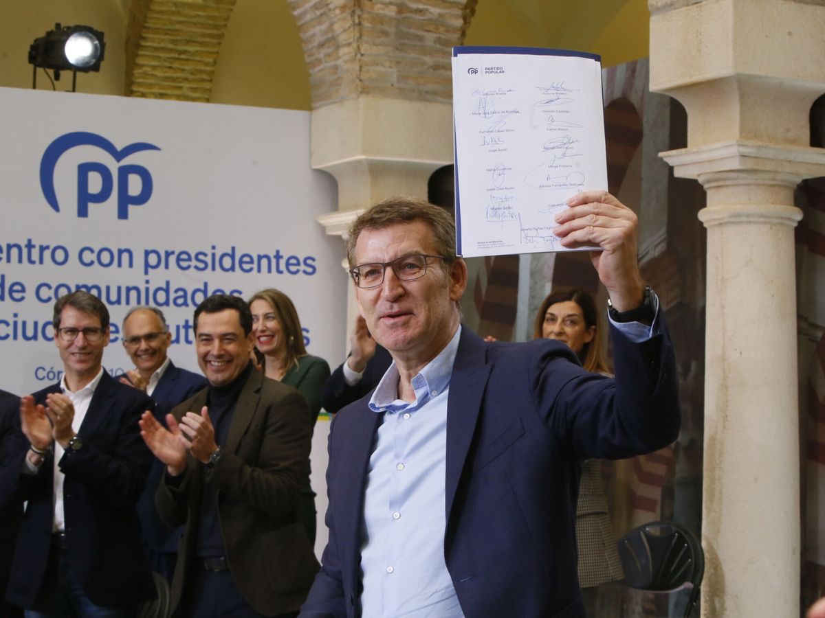 Foto: El líder del PP, Alberto Núñez Feijóo. (Europa Press/Madero Cubero)