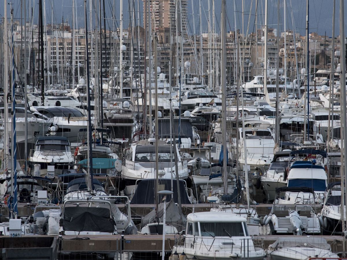 Foto: Vista general de varios barcos en el Club de mar de Palma. (EFE)