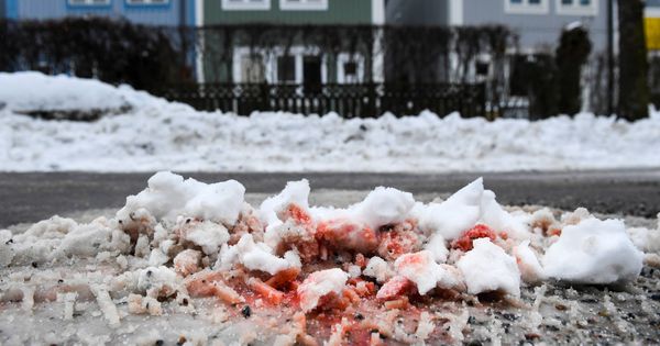 Foto: Restos de sangre de un asesinado tras un ajuste de cuentas entre bandas de Estocolmo. (Reuters)