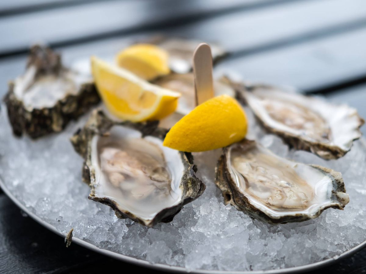 Foto: Las ostras es uno de los manjares más apreciados. (iStock)