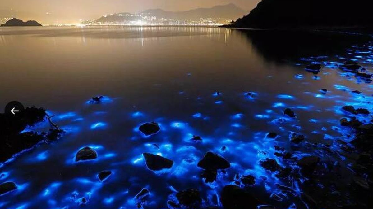 Una playa de España con agua luminiscente revoluciona TikTok: “es alucinante”