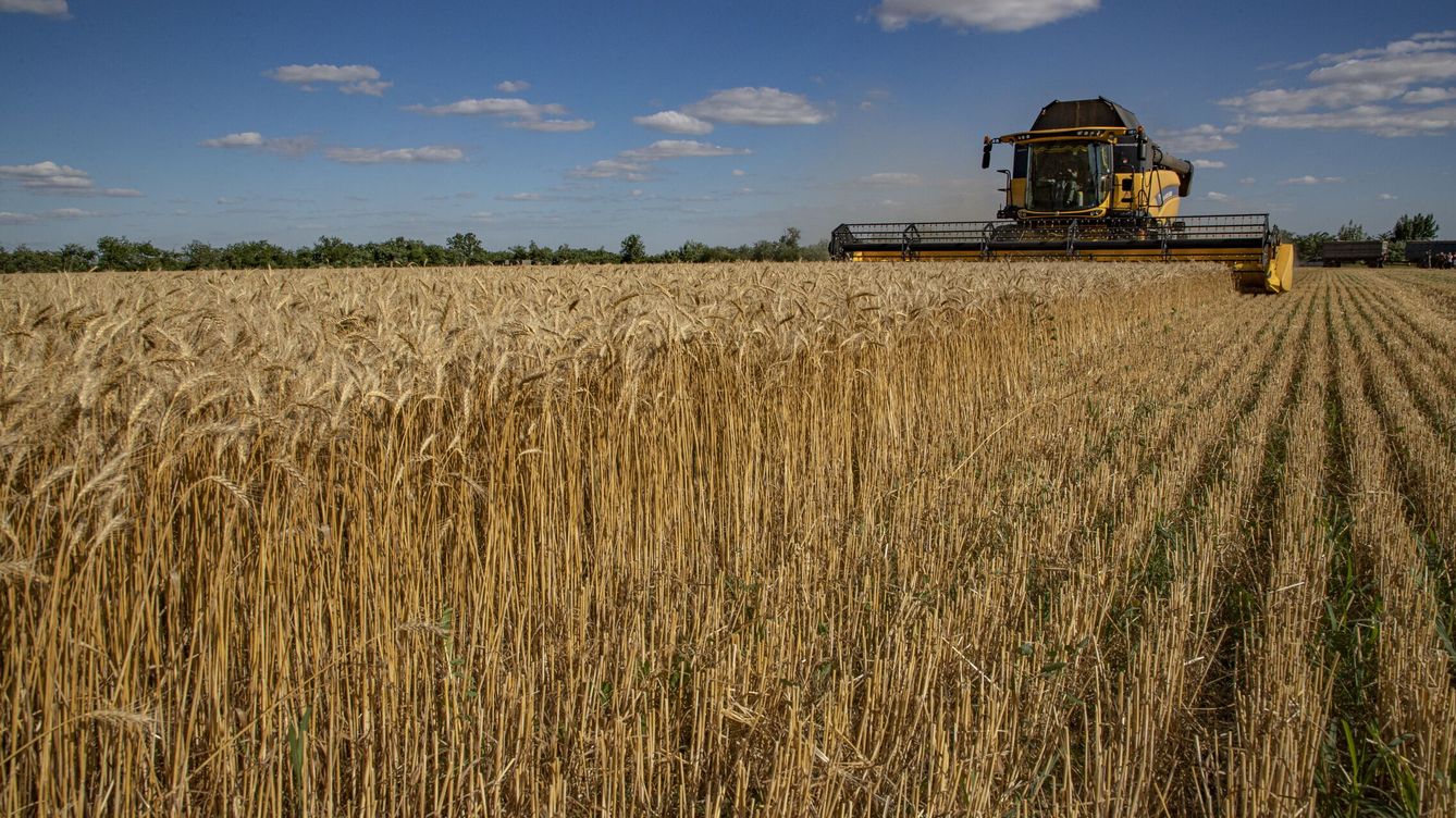 Foto: Una cosechadora recogiendo trigo en un campo cerca de Melitopol. (EFE/ Sergei Ilnitsky)