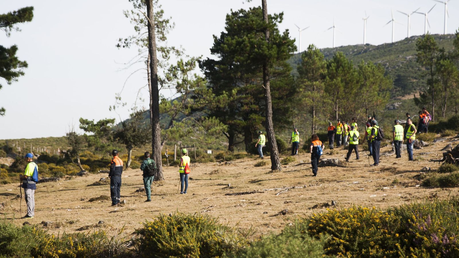 Foto: Voluntarios que buscan a Diana Quer rastrean la zona montañosa de A Curota. (EFE)