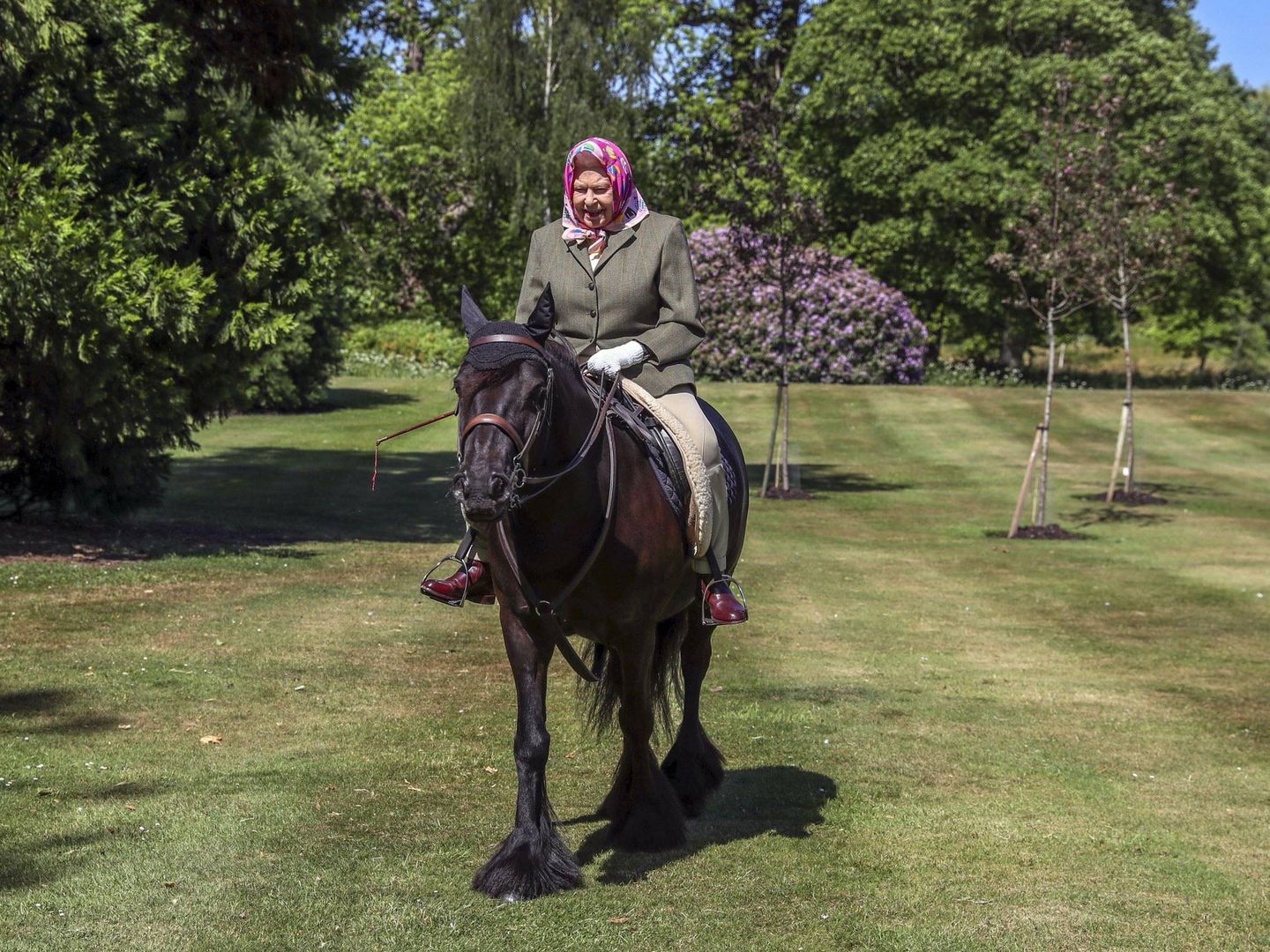 La reina Isabel, a lomos de su caballo Fern en Windsor. (Buckingham Palace)