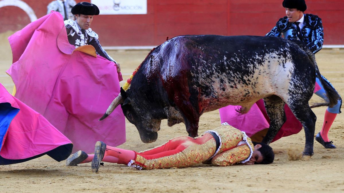 Muere el torero Víctor Barrio tras sufrir una cogida en  Teruel