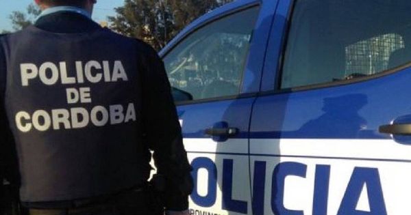 Foto: La Policía Local de Córdoba tuvo que ayudar a sacar a los perros del coche