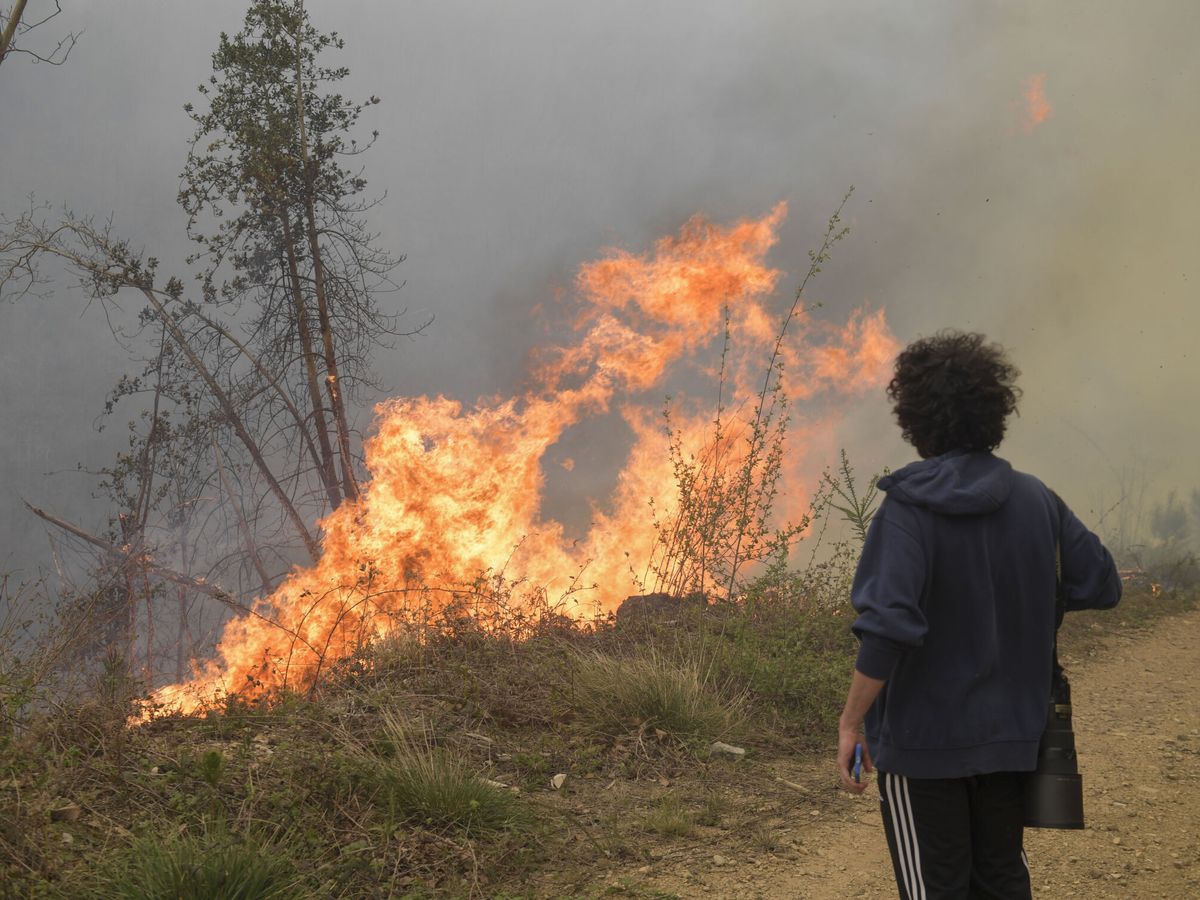 Foto: Incendio declarado en Navelgas, Asturias. (EFE/Eloy Alonso)