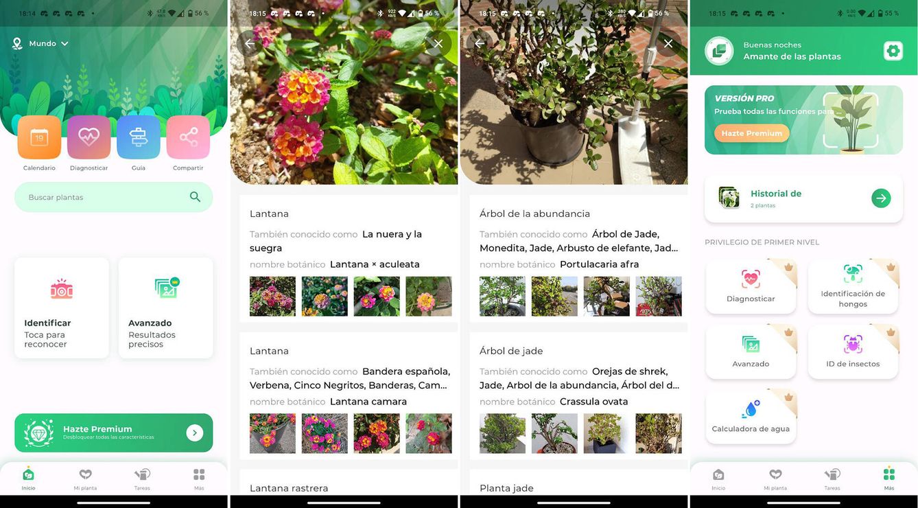 Capturas de pantalla de la app LeafSnap
