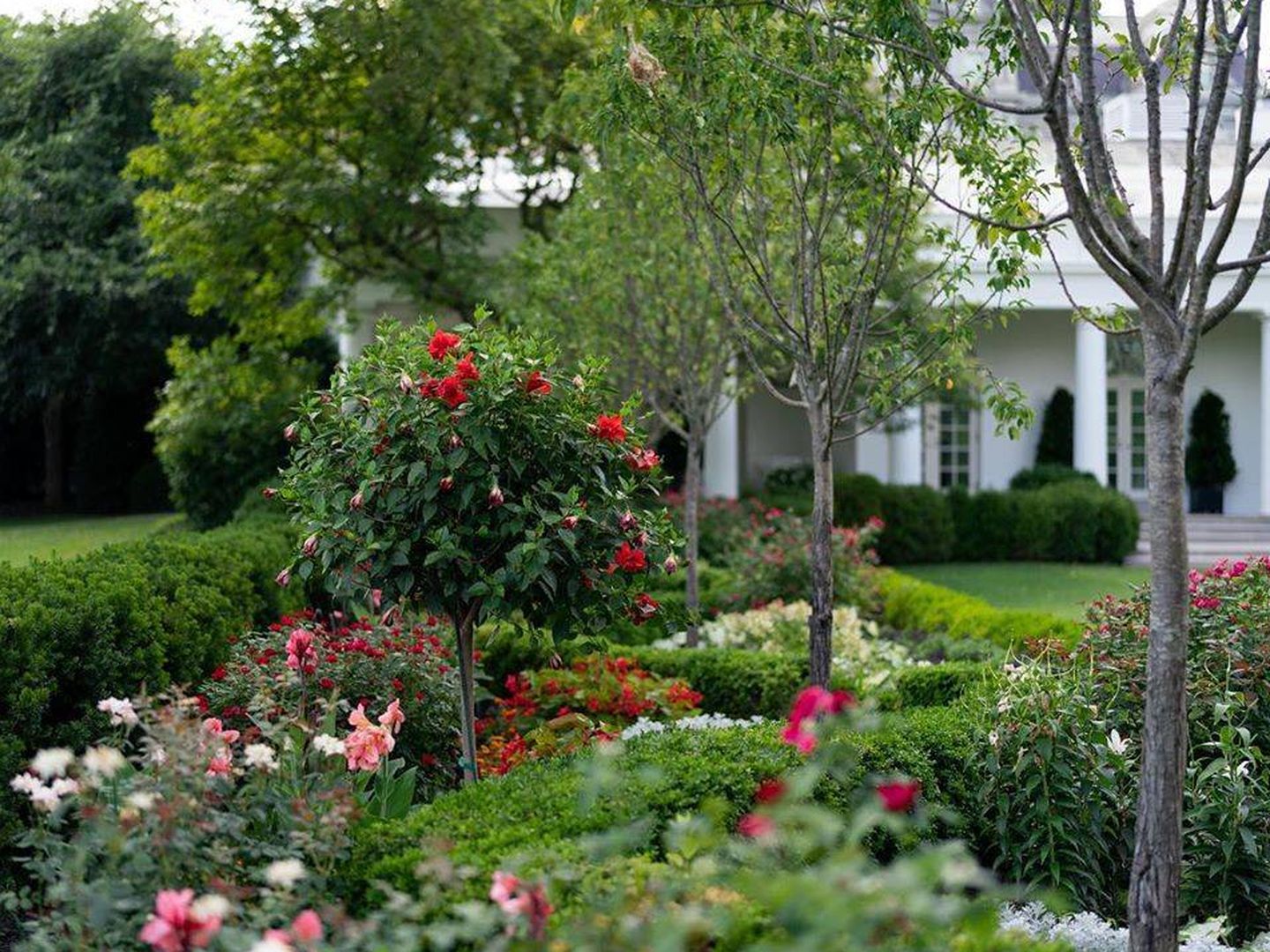 Parte del jardín de rosas de la Casa Blanca. (Instagram, @flotus)