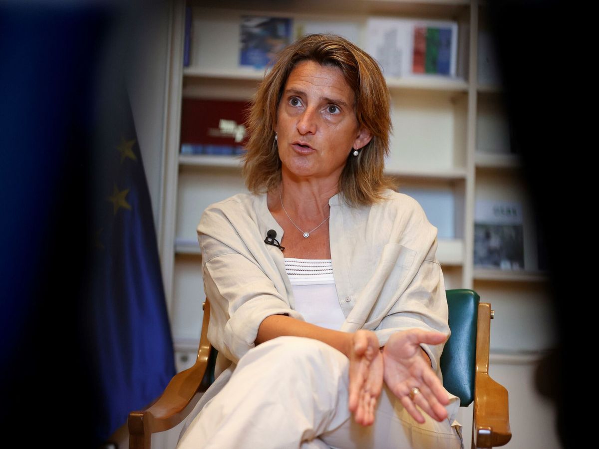 Foto: La vicepresidenta tercera del Gobierno y ministra para la Transición Ecológica y el Reto Demográfico, Teresa Ribera. (EFE)