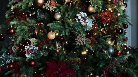 6 árboles de Navidad: así decoran sus casas los famosos para las noches de paz y amor 