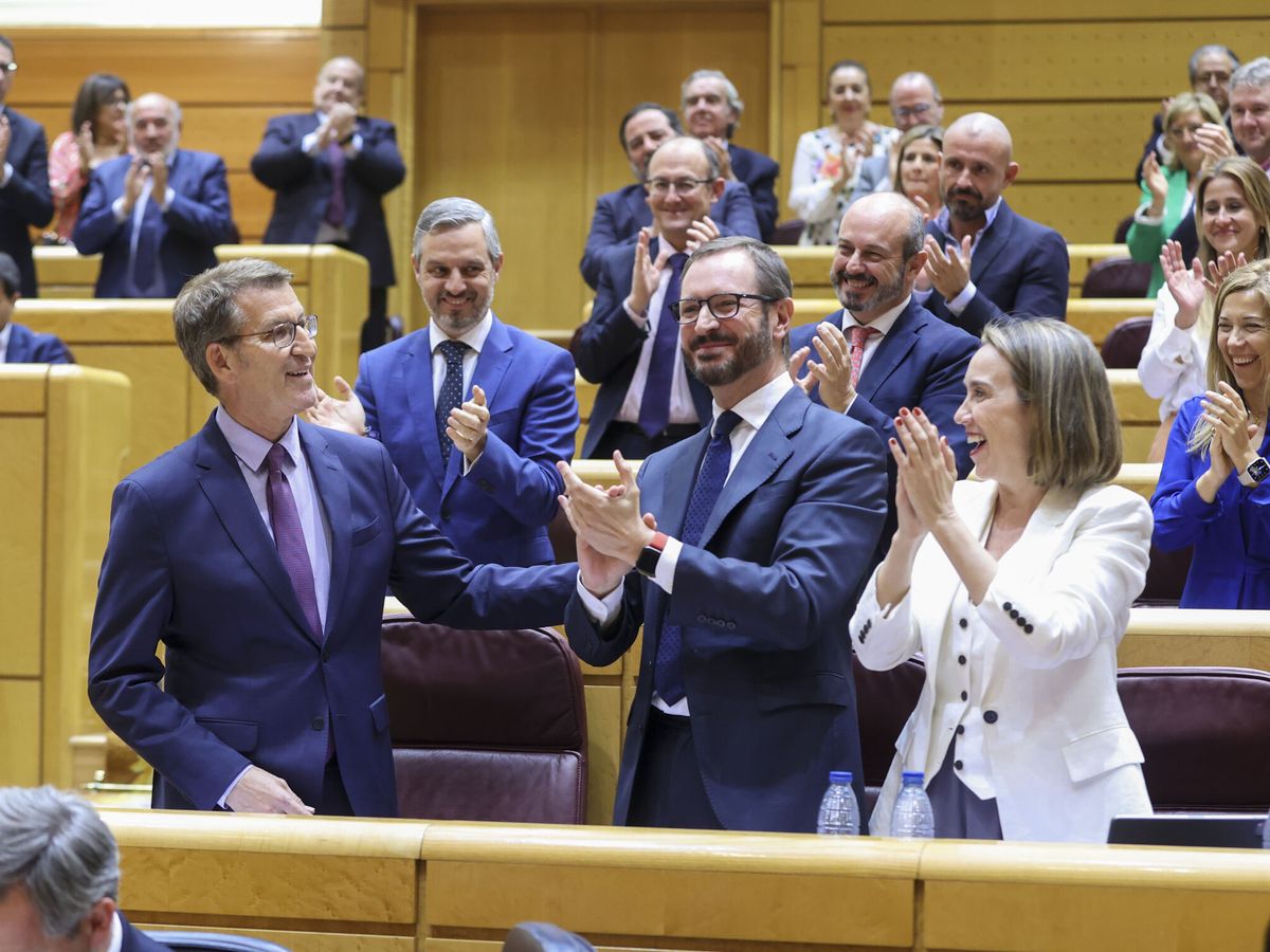 Foto: El líder del PP, Alberto Núñez Feijóo, en el Senado (EFE/Kiko Huesca)