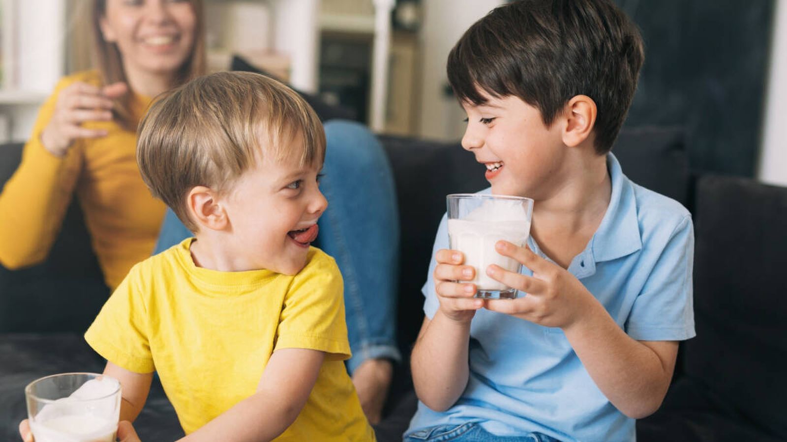 Leche, queso, yogures... Los productos de Lactalis ya llegan a 12 millones de hogares