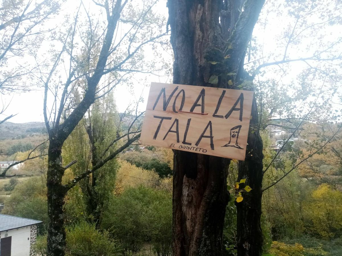 Foto: Un cartel de 'No a la tala' en el paraje de Miraflores. (Cedida: Ecologistas en Acción)
