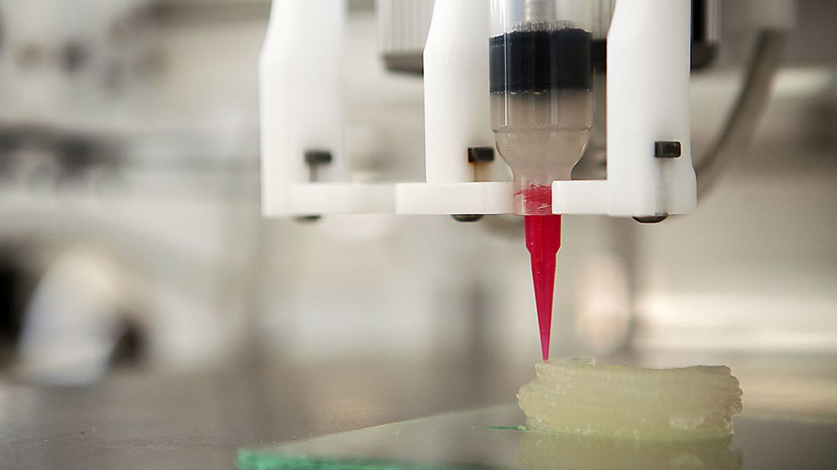 La bioimpresión 3D llega a España de la mano de una empresa asturiana