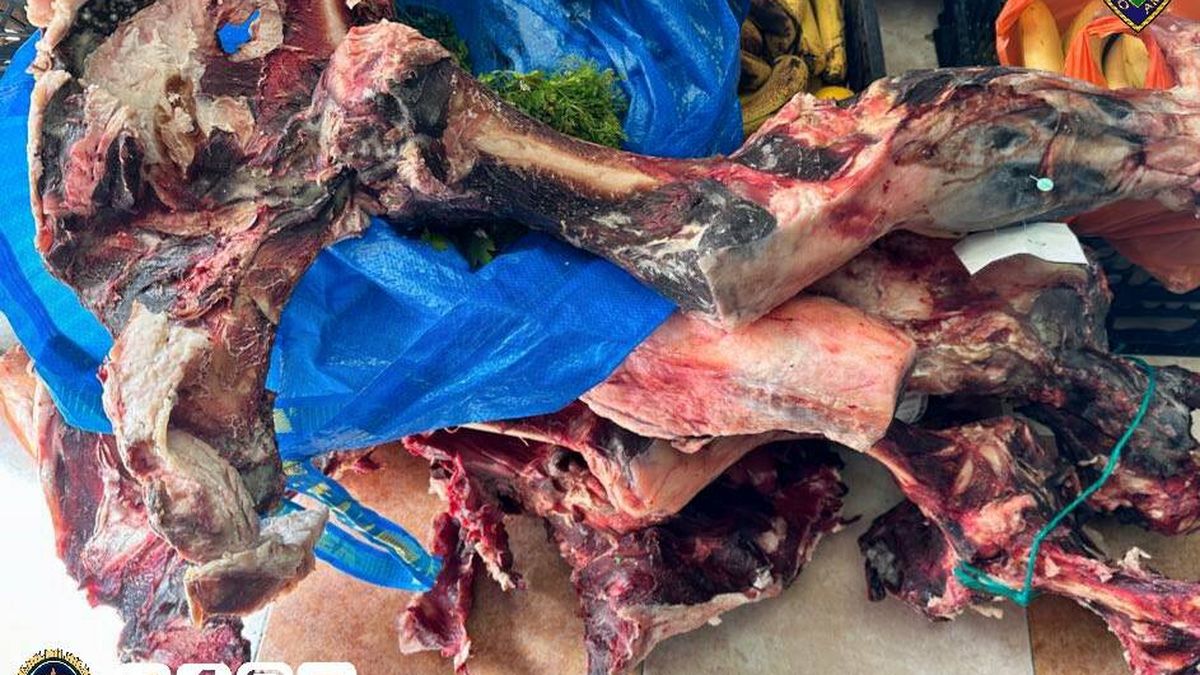 La Policía cierra esta carnicería de los horrores en Granada con alimentos podridos y cucarachas