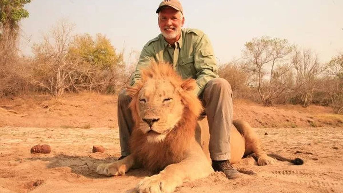 Las redes sociales ponen nombre (al fin) al hombre que mató a un león dormido