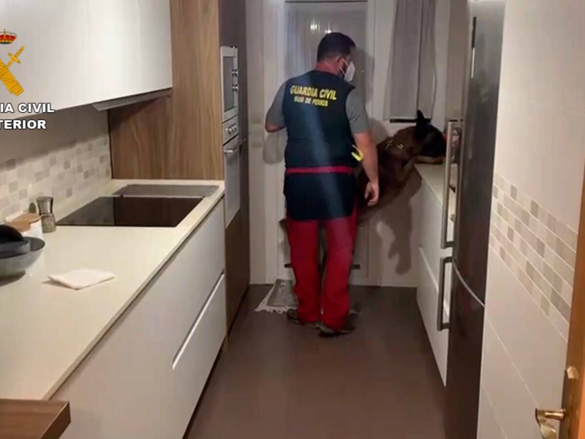 Foto: Un agente con un perro entrenado inspecciona una de las viviendas registradas. (Guardia Civil)