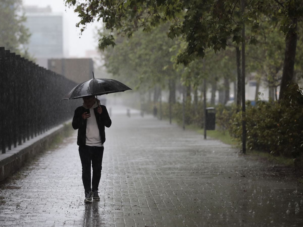 Foto: Precipitaciones fuertes y persistentes en la Comunitat Valenciana. (EFE/Ana Escobar)