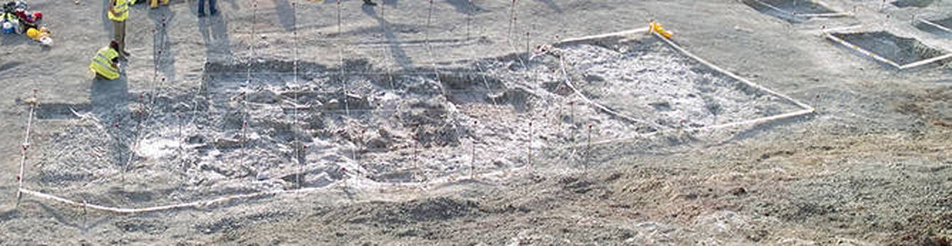 Aspecto del ejemplar de Lohuecotitan pandafilandi durante la excavación en Lo Hueco en 2007. / G.B.E.-UNED