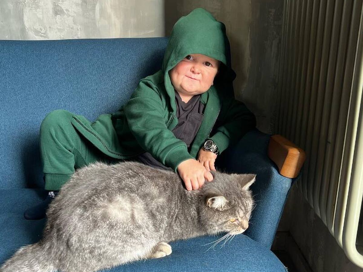 Foto: Hasbulla encuentra su talón de Aquiles y recibe críticas en redes tras un vídeo con su gato (Instagram/@hasbulla.hushetskiy)