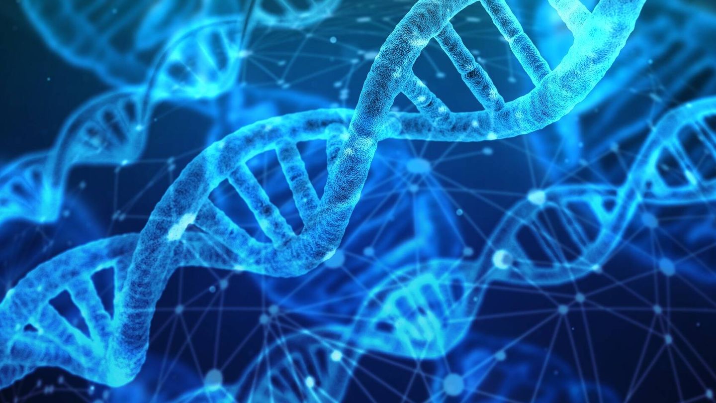 Los científicos descubrieron que, con el envejecimiento, la actividad dentro de las células cambia hacia genes más cortos, alterando el equilibrio. (Pixabay)