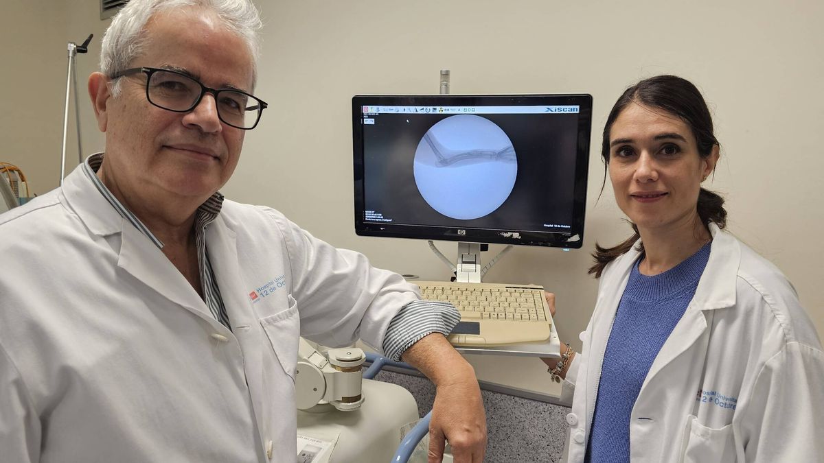La investigación española que quiere sustituir los injertos de hueso por vidrio en las cirugías