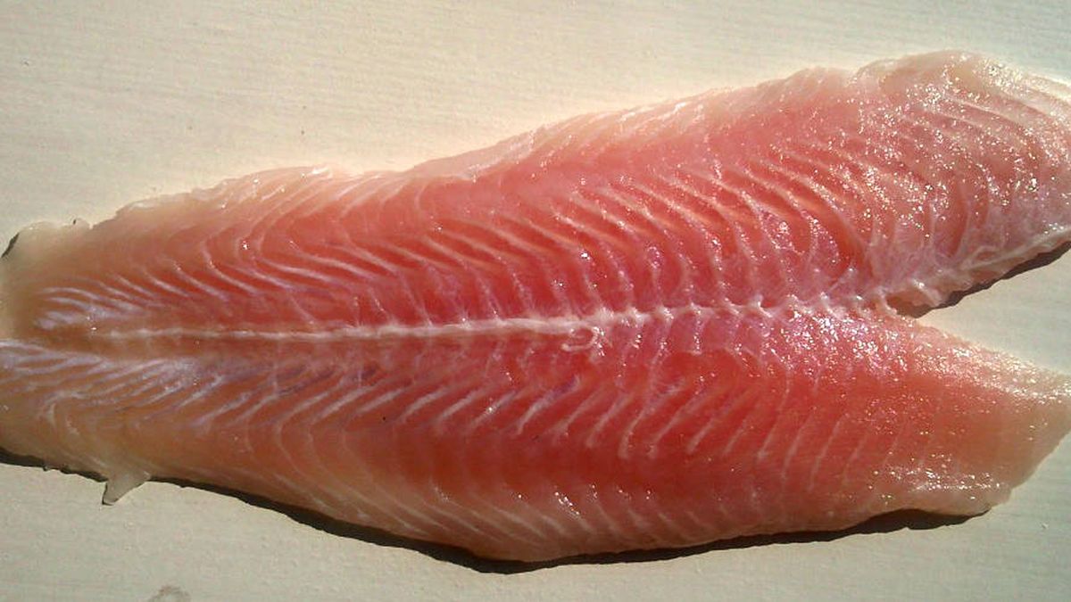 ¿Es malo comer panga? Las dudas sobre este polémico pescado, resueltas